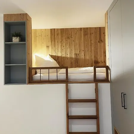 Mei-so-nett Hutegger Apartment Schladming