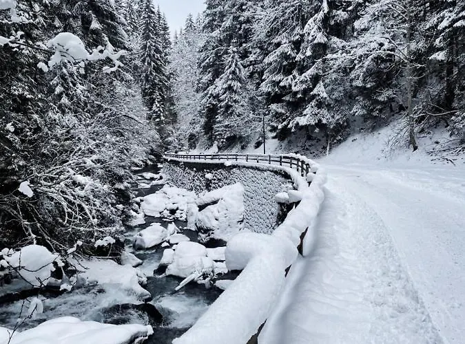 Mei-so-nett Hutegger アパート シュラートミンク